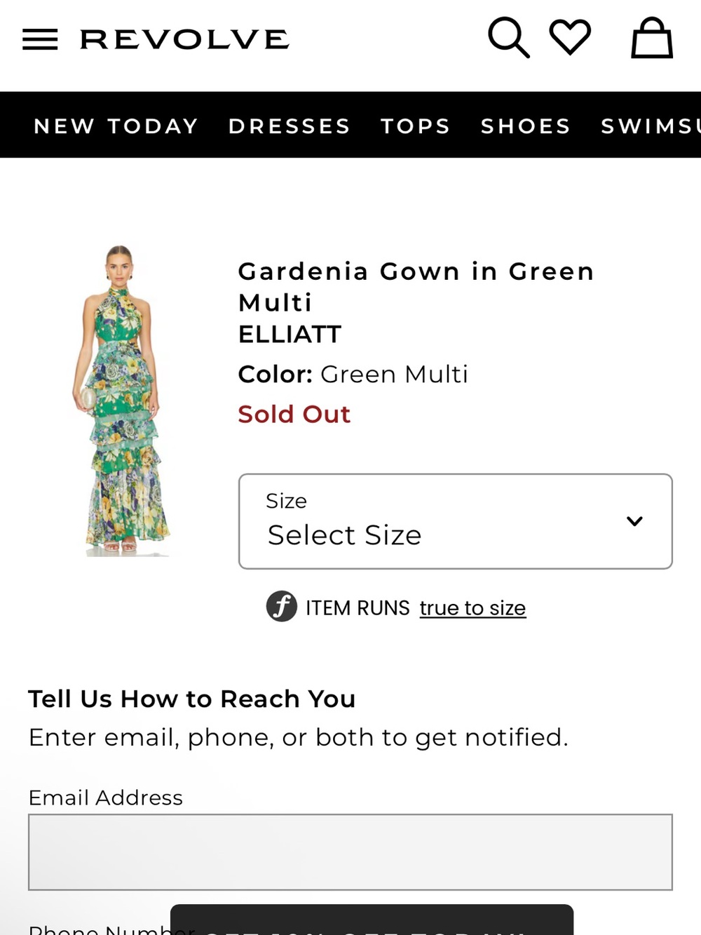 ELLIATT Floral Halter Maxi Gown in Green Multi